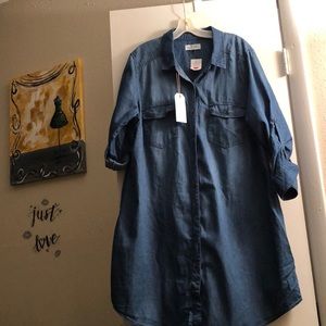 Denim Dress/tunic